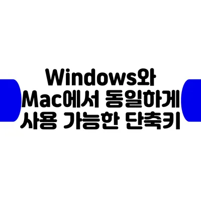 Windows와 Mac에서 동일하게 사용 가능한 단축키