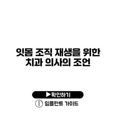 잇몸 조직 재생을 위한 치과 의사의 조언