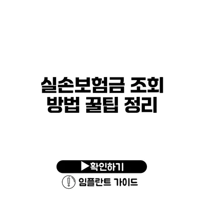 실손보험금 조회 방법 꿀팁 정리