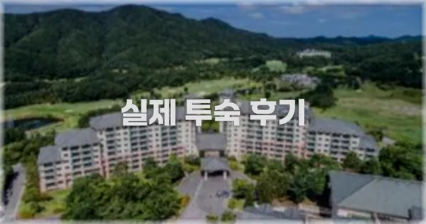 💬 실제 투숙 후기