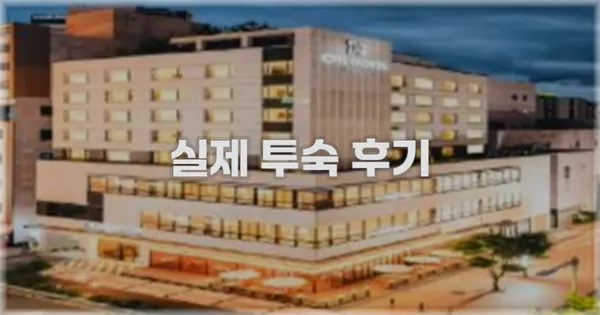 💬 실제 투숙 후기