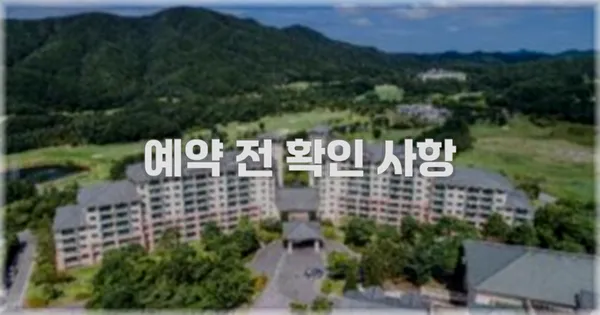 예약 전 확인 사항